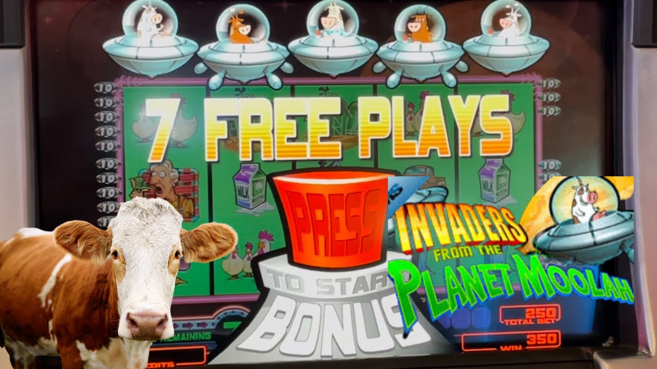 7spins online casino