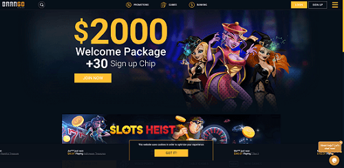 20 free spins no deposit bonus 2025