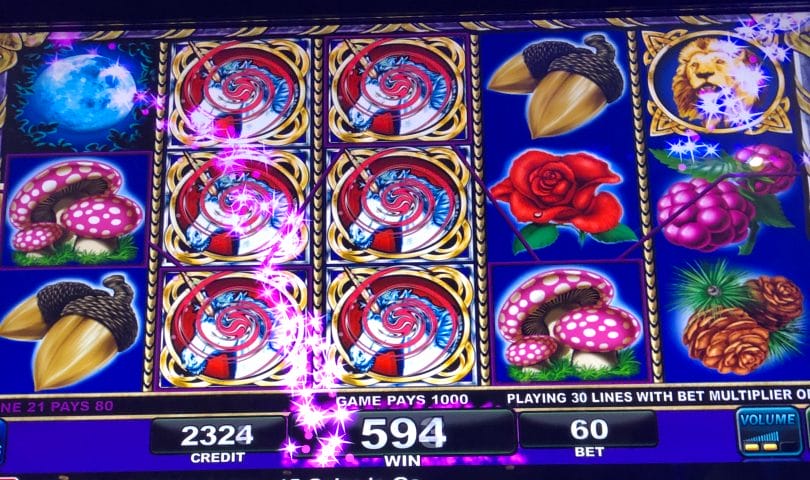 casino lovely lady deluxe slot