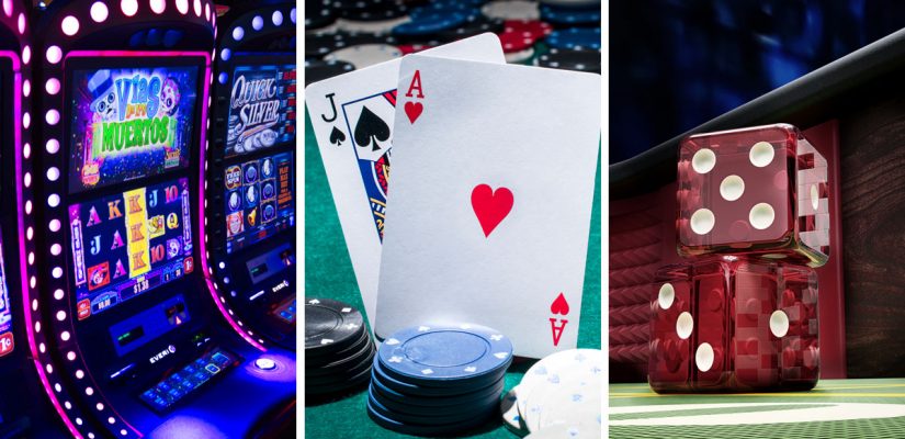 Who Wants To Be A Stallionaire Slot