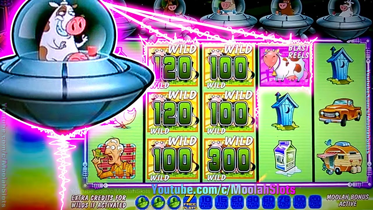 win sum dim sum free spins no deposit