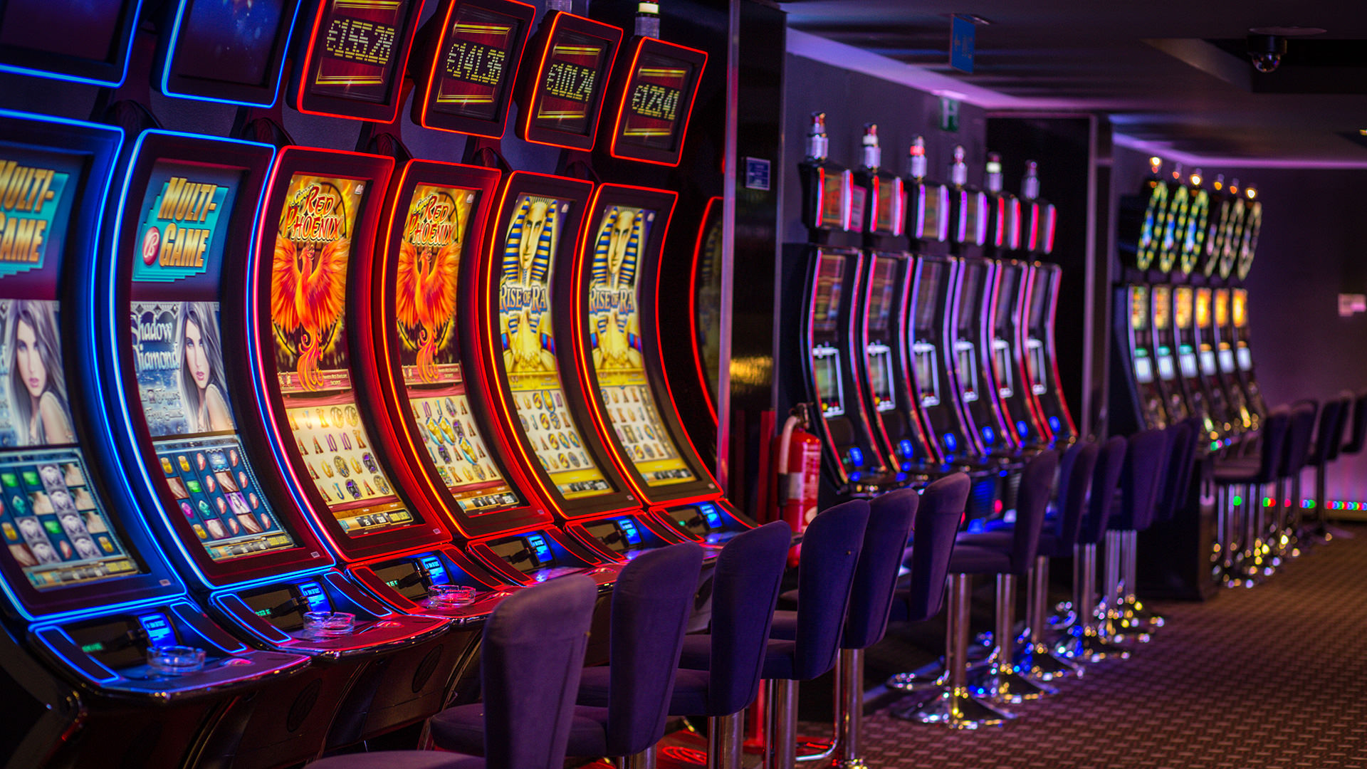 Polder casino