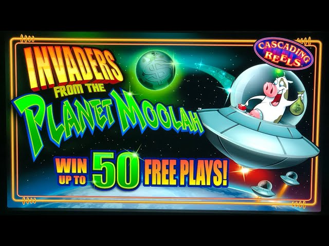 online casino franchise reviews