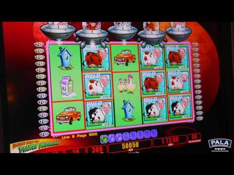 The Wild 3 mobile slot