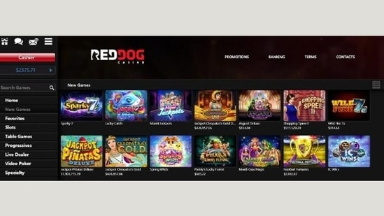 Online -Casino legal