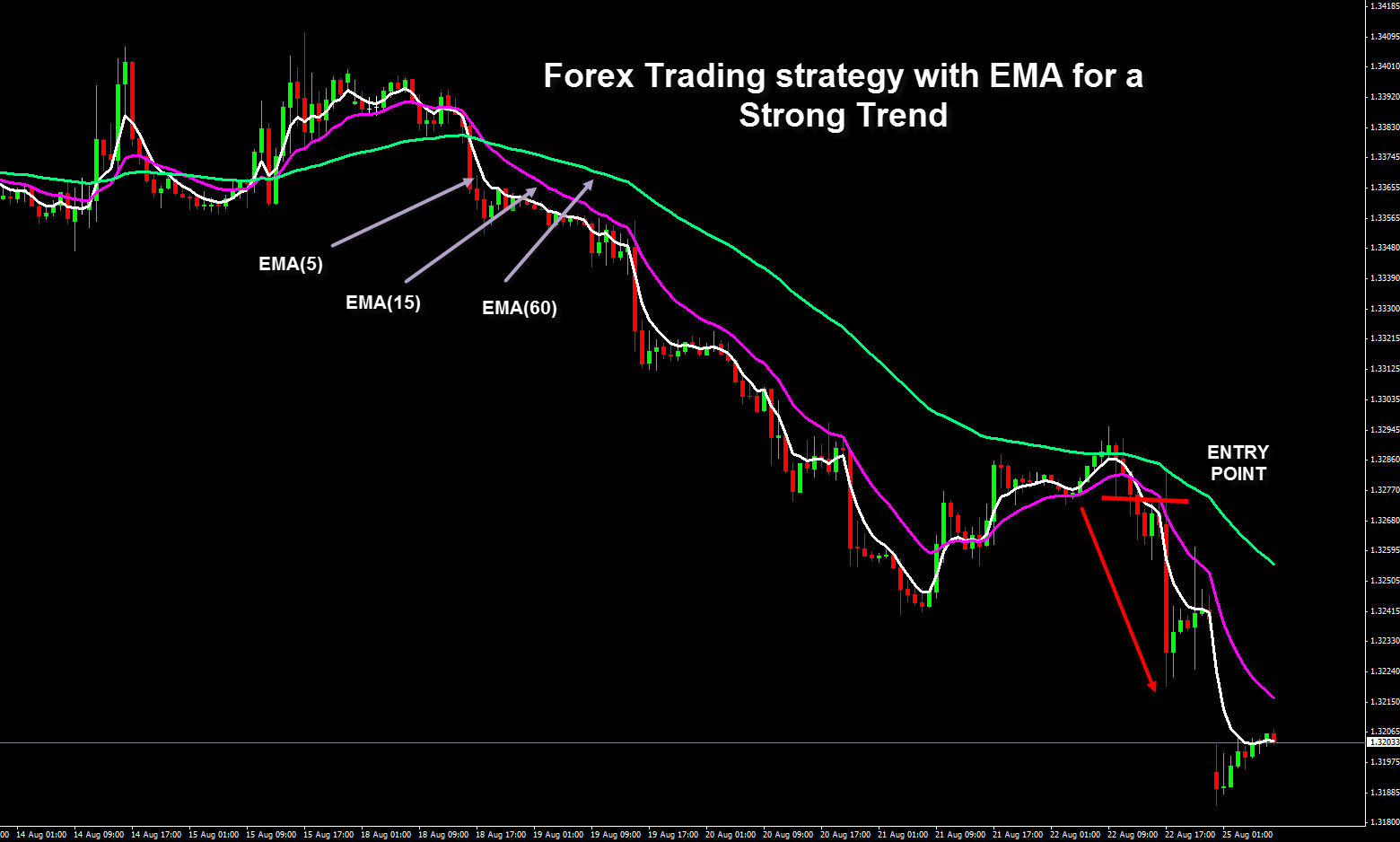 best forex online trading platform