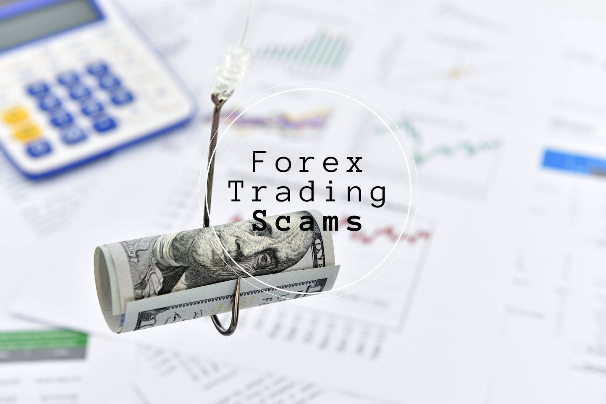 zulu forex online trading systems