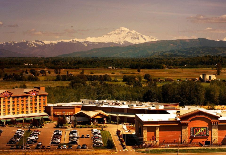 Slingo casino